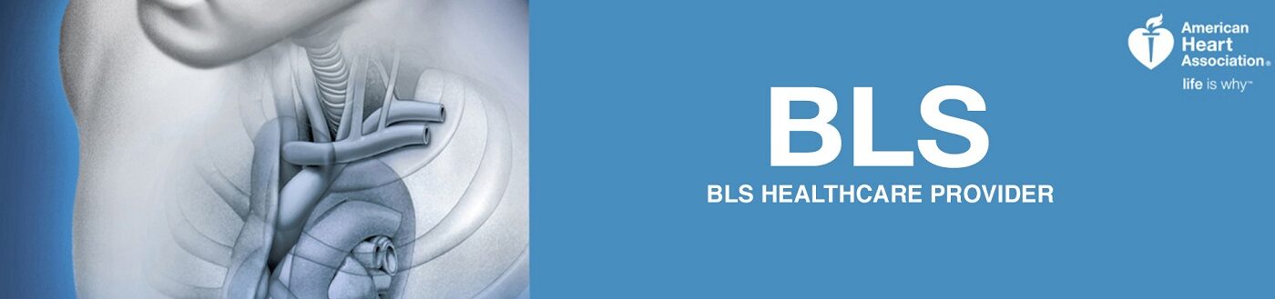 bls-healthcare-providers